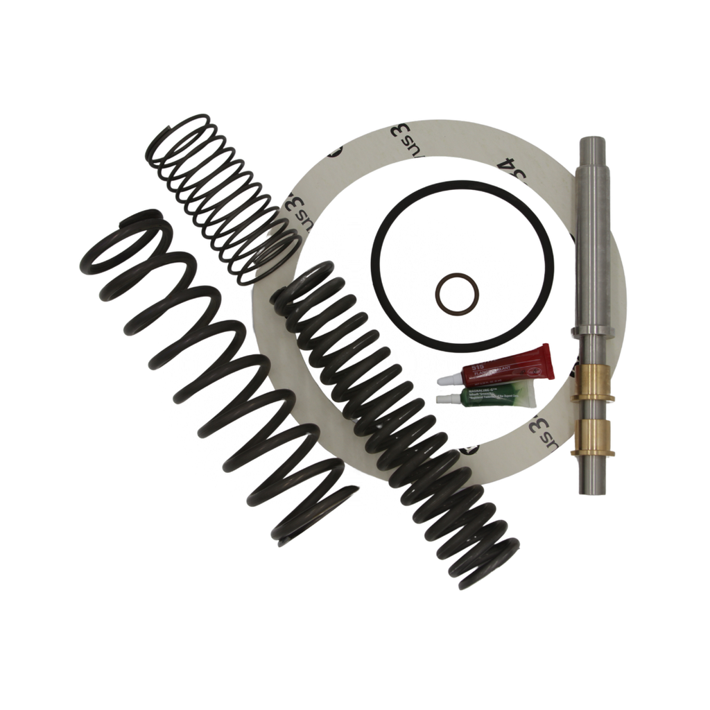 8” POPPET REBUILD KIT