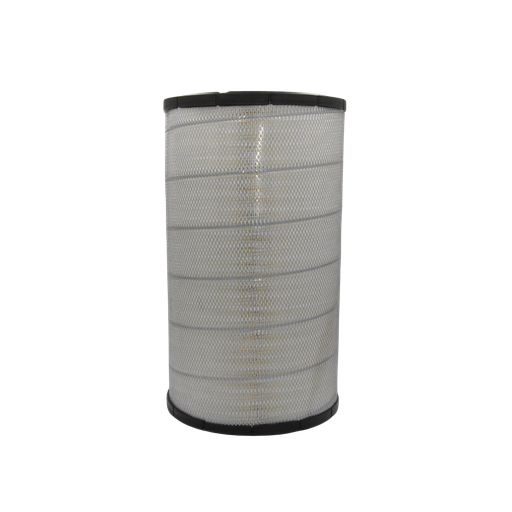 [CVS-02250155-691] AIR FILTER (PRIMARY)