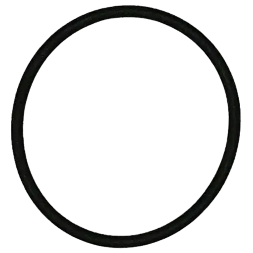 [228V75] O-ring